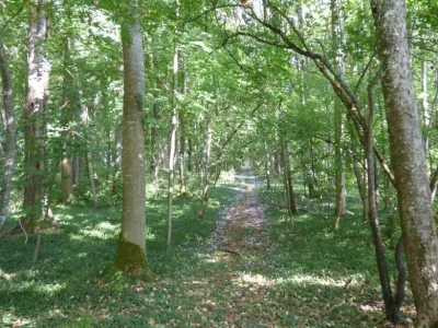 Chambres-d039hotes-au-Parc-de-Lesseps-8211-Meunet-Planches_2693274