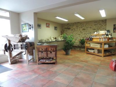 Chambres-d039hotes-du-Grand-Brugeron_46656