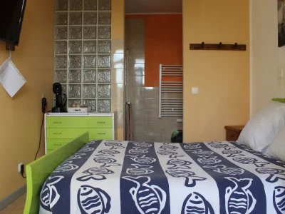 Chambres-drsquohotes-8211-Braud-et-Saint-Louis_3078133