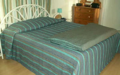 Chambres-drsquohotes-8211-Coarraze_1924195