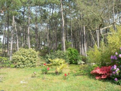 Chambres-drsquohotes-8211-Lacanau_45393