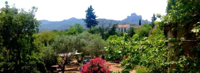 Chambres-drsquohotes-8211-Saint-Remy-de-Provence_2599544