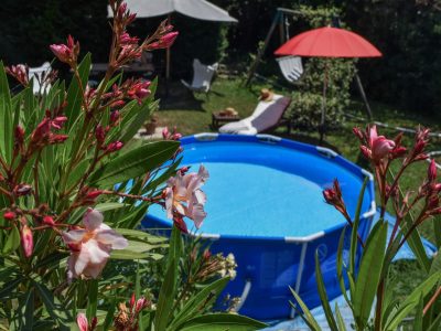 Chambres-drsquohotes-8211-Salon-de-Provence_56852