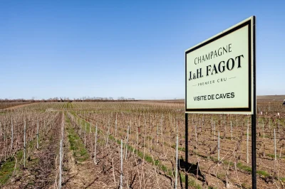 Champagne-J.-amp-H.-Fagot-8211-Rilly-la-Montagne_2354471