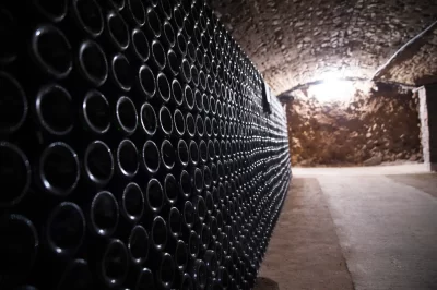 Champagne-Rene-Jolly-8211-Landreville_1417989