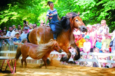 Chant039equi-spectacle-caritatif-8211-31-08-2025-8211-Briel-sur-Barse_3052068