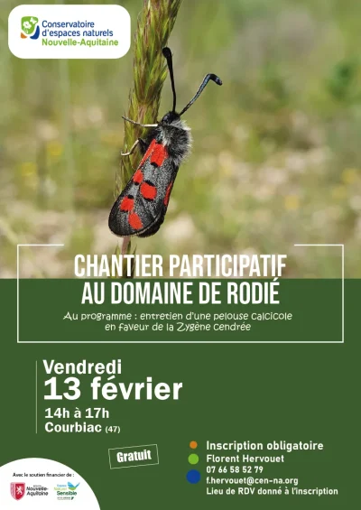 Chantier-participatif-au-domaine-de-Rodie-8211-13-02-2026-8211-Courbiac_3482029
