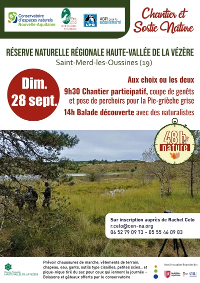 Chantier-participatif-coupe-de-genets-et-pose-de-perchoirs-Pie-grieche-grise-8211-28-09-2025-8211-Saint-Merd-les-Oussines_3167947