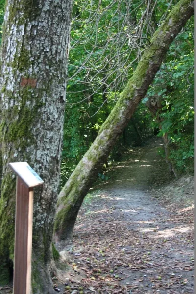 Chapelle-des-Bois-8211-Saint-Astier_2897007