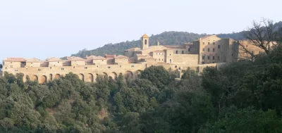 Chartreuse-de-la-Verne_345492