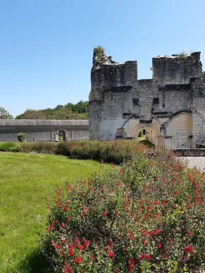 Chartreuse-du-Liget-8211-Chemille-sur-Indrois_3237072