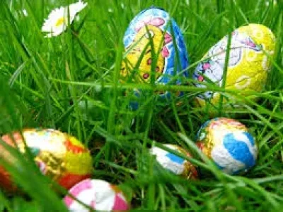 Chasse-aux-oeufs-8211-19-04-2025-8211-Piegut-Pluviers_2181723