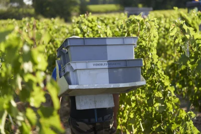 Chateau-Bonalgue-8211-Libourne_3206439