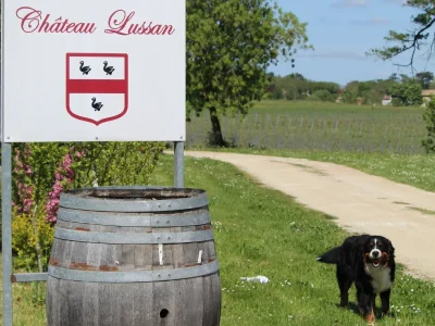 Chateau-Lussan-8211-Pleine-Selve_2944533