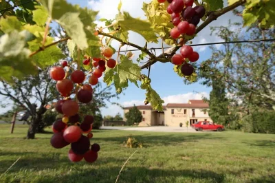 Chateau-Perayne-8211-Saint-Andre-du-Bois_2045190
