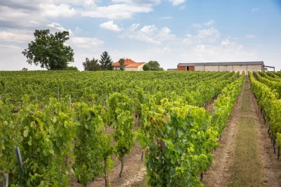 Chateau-Siffle-Merle-8211-Val-de-Livenne_3037497