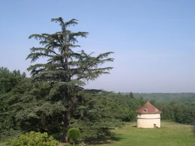 Chateau-de-Borie-Petit-8211-Champcevinel_2808834