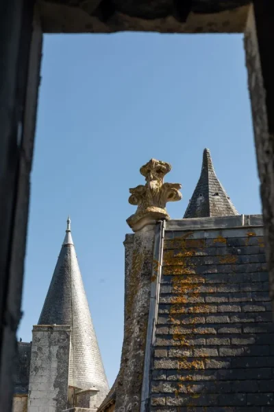 Chateau-de-Cherveux-8211-Cherveux_2438424