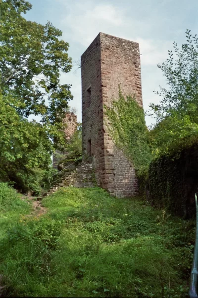 Chateau-de-Greifenstein_646899