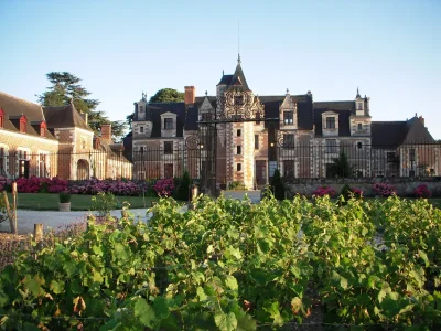 Chateau-de-Jallanges-8211-Vernou-sur-Brenne_3229922