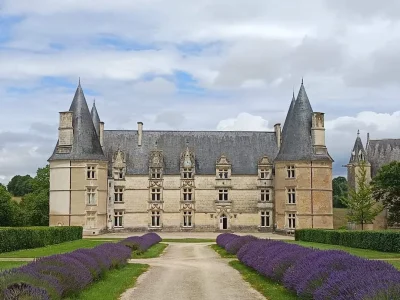 Chateau-de-La-Roche-8211-Magne_2687093