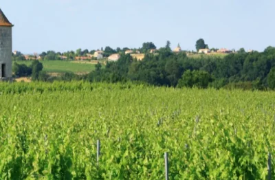 Chateau-de-Panisseau-Visite-degustation-FR-et-EN-8211-27-10-2025-8211-Thenac_2813461