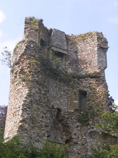 Chateau-de-Saint-Aubin-du-Cormier_564331