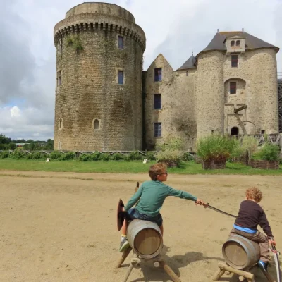 Chateau-de-Saint-Mesmin-8211-Saint-Andre-sur-Sevre_2687060