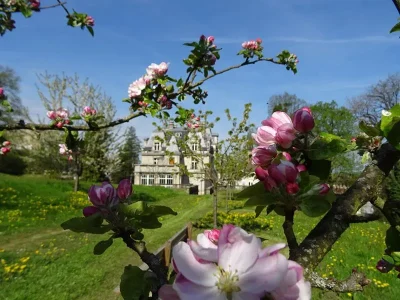 Chateau-des-Brasseurs-8211-Xertigny_3875163