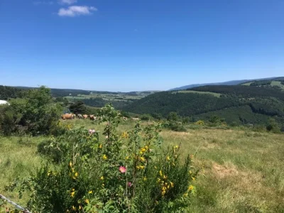 Chateau-du-Tournel-8211-Trail-n°10-8211-Mont-Lozere-et-Goulet_3745873