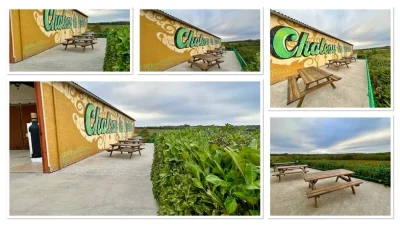 Chateau-la-Piolette-8211-Le-Pian-sur-Garonne_3076598