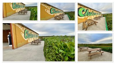 Chateau-la-Piolette-8211-Vignobles-Pougeard_31990