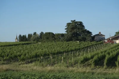 Chateau-le-Payral-Aperobio-d039ete-8211-22-07-2025-8211-Razac-de-Saussignac_2805051