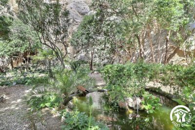 Chatvasana_56949