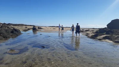Chausey-histoire-et-nature-avec-decouverte-de-l039estran-8211-22-03-2026-8211-Granville_3425605