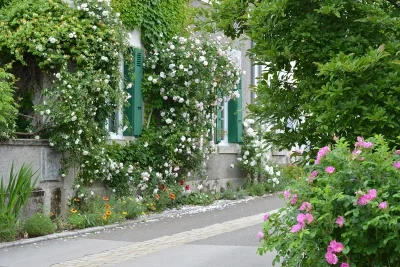 Chedigny-village-jardin-quotJardin-remarquablequot-et-fleur-d039or-8211-Chedigny_3230716