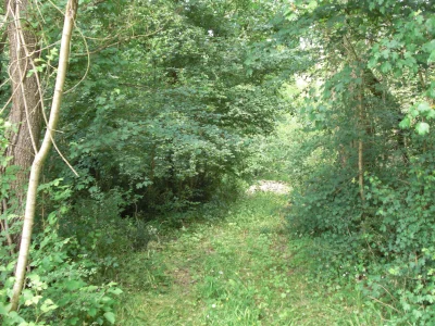 Chemin-Gallien-8211-Saint-Selve_2874808