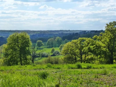 Chemin-de-Boireau-8211-Saint-Victurnien_3783372