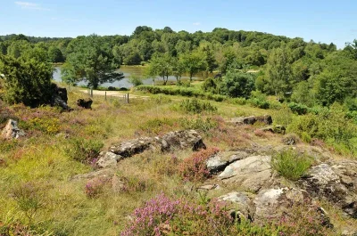 Chemin-des-Hetres-8211-Cieux_3849580