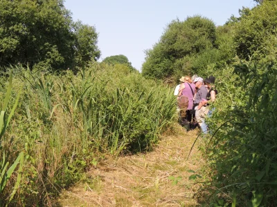 Cherchons-la-p039tite-bete-dans-le-Marais-de-Chavannes-8211-02-08-2025-8211-Chavannes_2584904