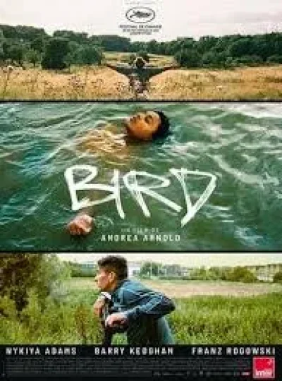 Cine-Lot-a-Le-Bourg-quotBirdquot-8211-25-10-2025-8211-Le-Bourg_3134046