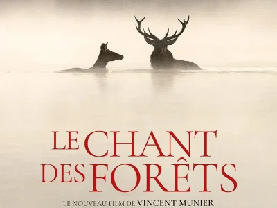 Cine-Plus-Limousin-8211-Le-chant-des-forets-8211-20-02-2026-8211-Saint-Jean-Ligoure_3467953