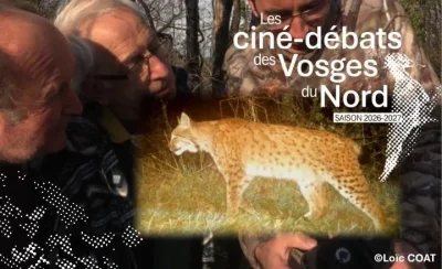 Cine-debat-8211-Chasseurs-proies-lynx-8211-22-09-2026-8211-Phalsbourg_3834099