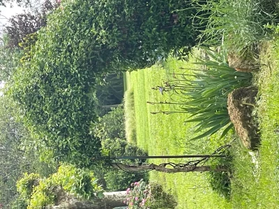 Cinegite-du-jardin-aux-etoiles-8211-Saint-Pey-de-Castets_3494353