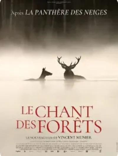Cinema-Gourette-Le-Chant-des-forets-8211-17-02-2026-8211-Eaux-Bonnes_3466709