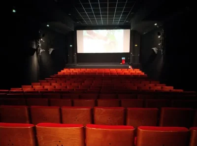 Cinema-Le-Dunois-8211-Beaugency_2382978