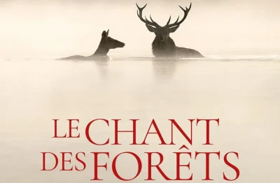 Cinema-Le-chant-des-forets-8211-20-02-2026-8211-Monpazier_3476642