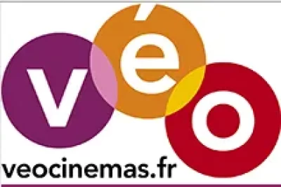Cinema-Veo-Tulle_1055565