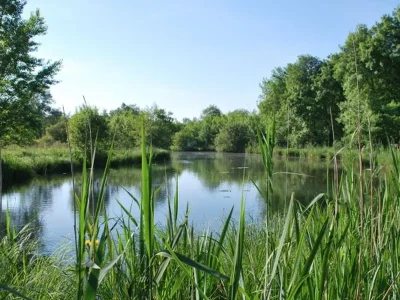 Cinema-nature-2025-8211-03-10-2025-8211-Saint-Andre-de-Cubzac_2129104