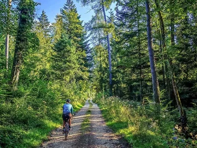 Circuit-Gravel-55-km-les-Contreforts-du-Jura-Alsacien-8211-Ferrette_3614082